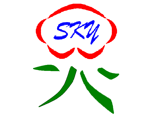 skyland_logo.bmp