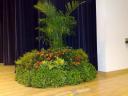 Singapore Poly Stage Display - Event Plants Rental
