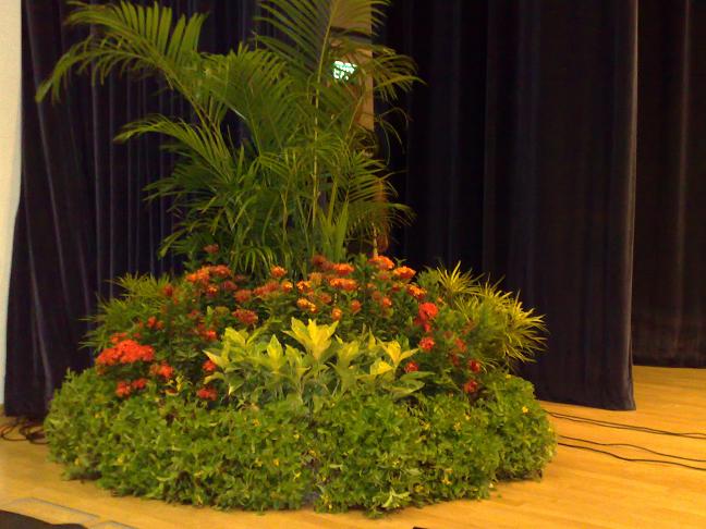 Singapore Poly Stage Display Event Plants Rental